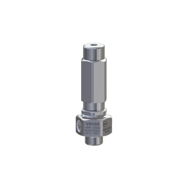 PA VS 100 - Aisi 316 - Viton O-rings Emniyet Ventili