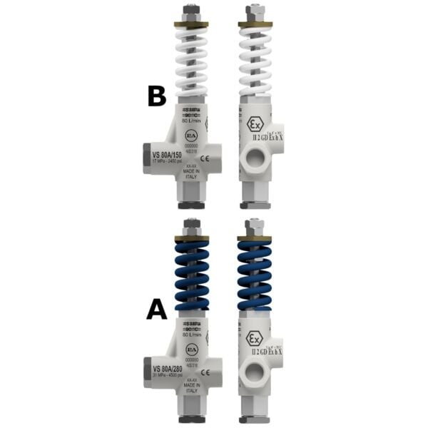 PA VS 80/150-280 - Aisi 316 - Viton O-rings Emniyet Ventili