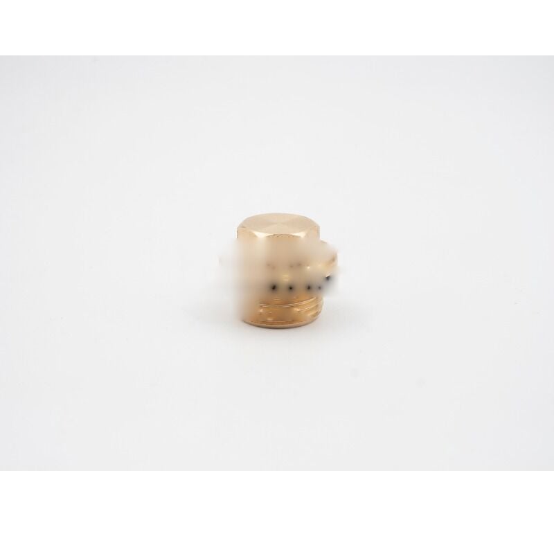 İNTERPUMP E2B2 VALVE PLUG