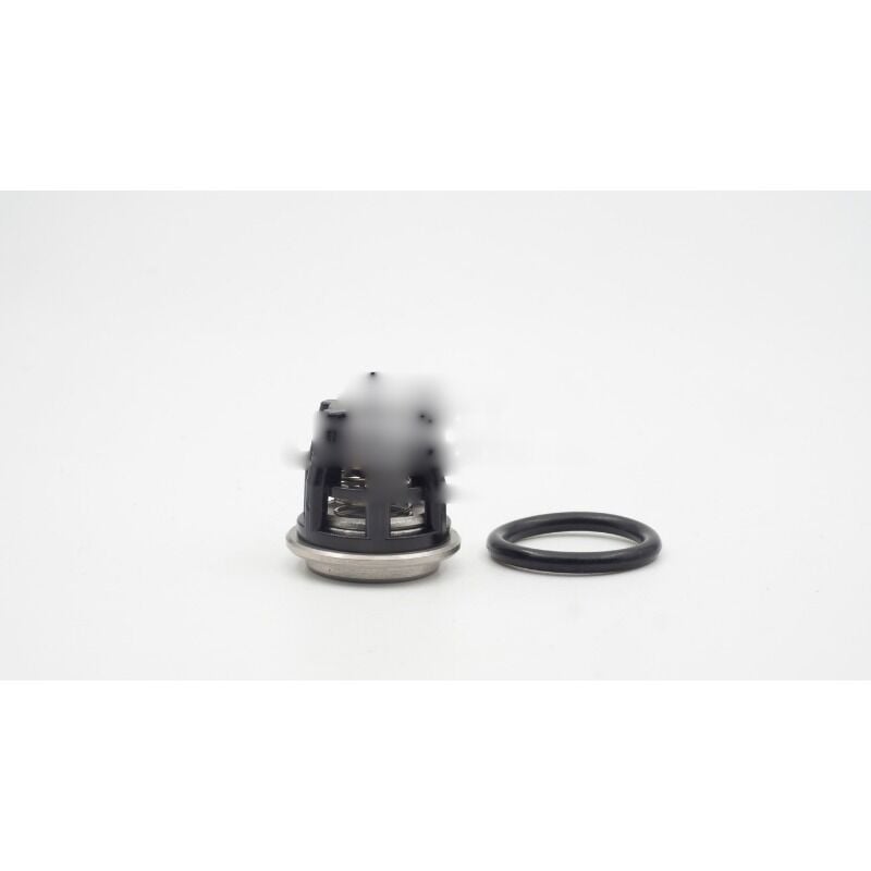 İNTERPUMP VALVE